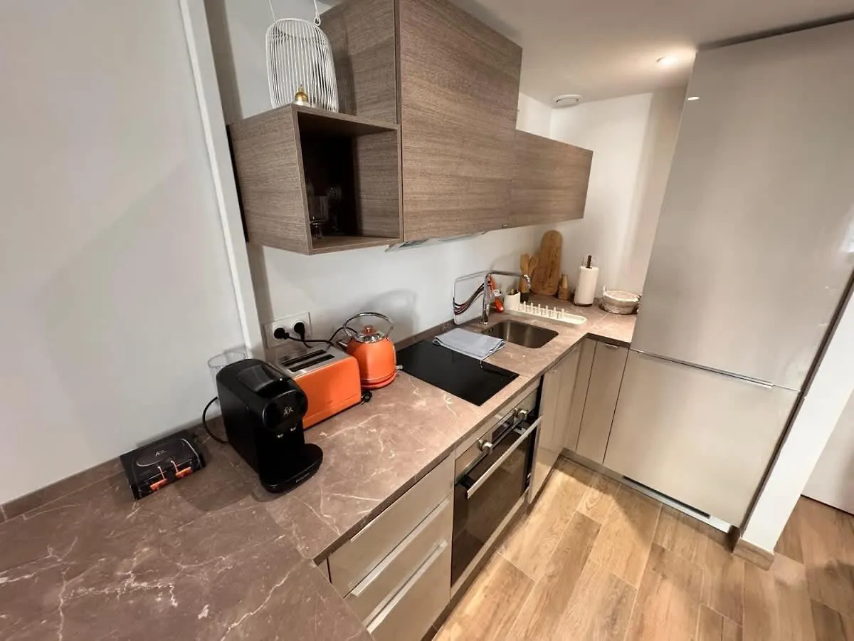 Central Studio With Mezzanine 3 Minutes To Sea Nice